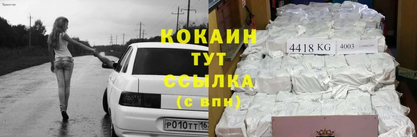прущие грибы Балабаново