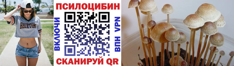 Галлюциногенные грибы Magic Shrooms  Оханск 